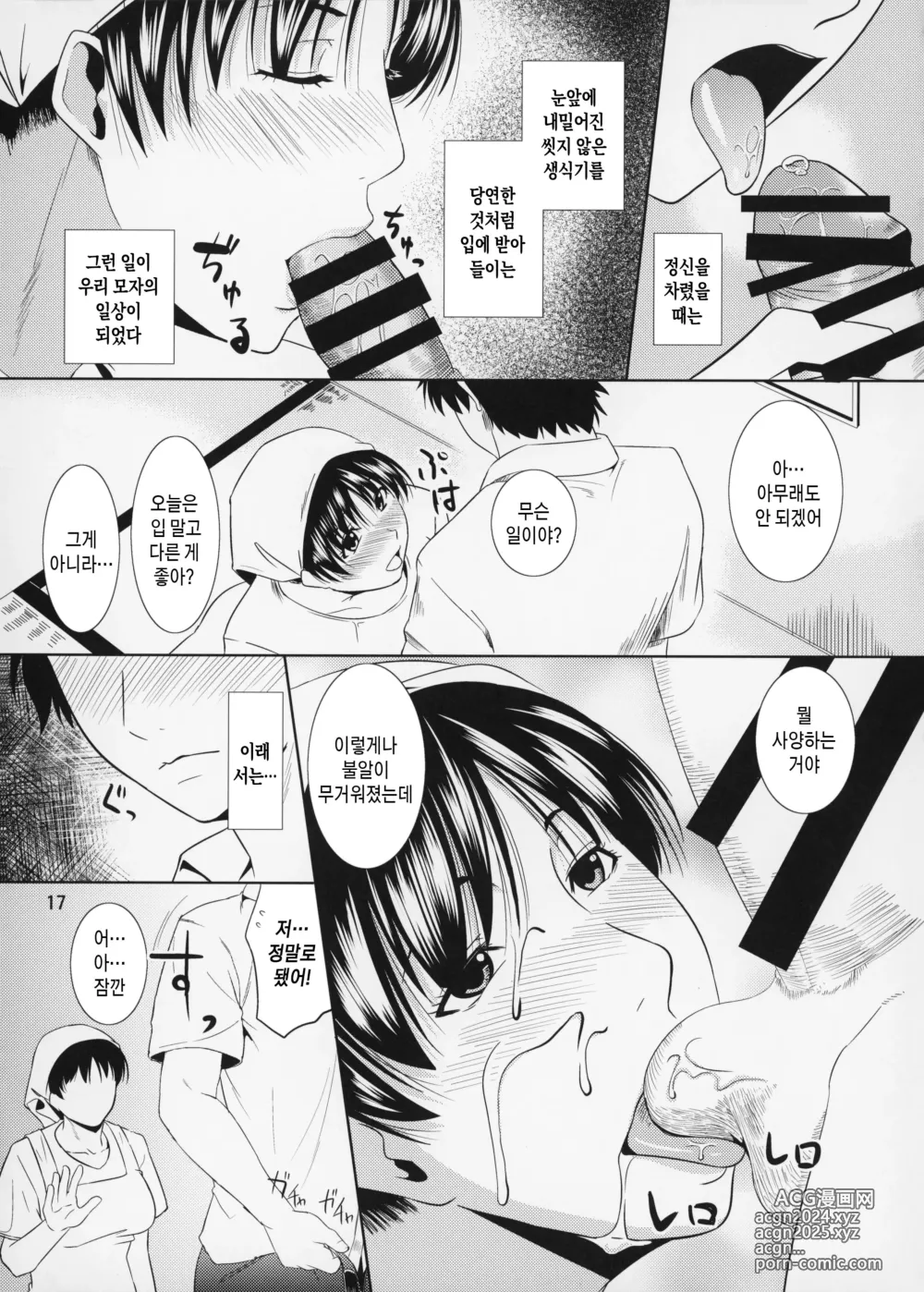 Page 17 of doujinshi 모혈을 파다12 제1화