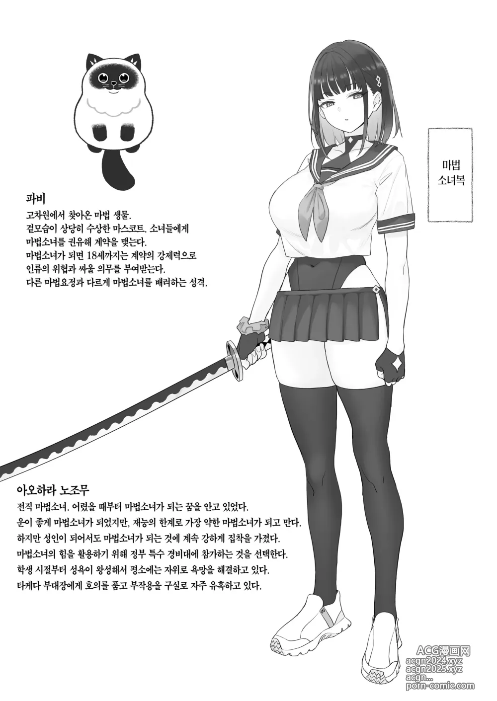 Page 35 of doujinshi 전직 마법소녀의 업무편 청