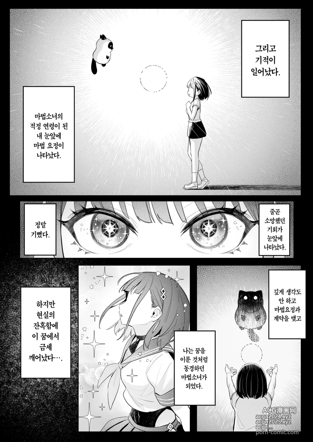 Page 5 of doujinshi 전직 마법소녀의 업무편 청