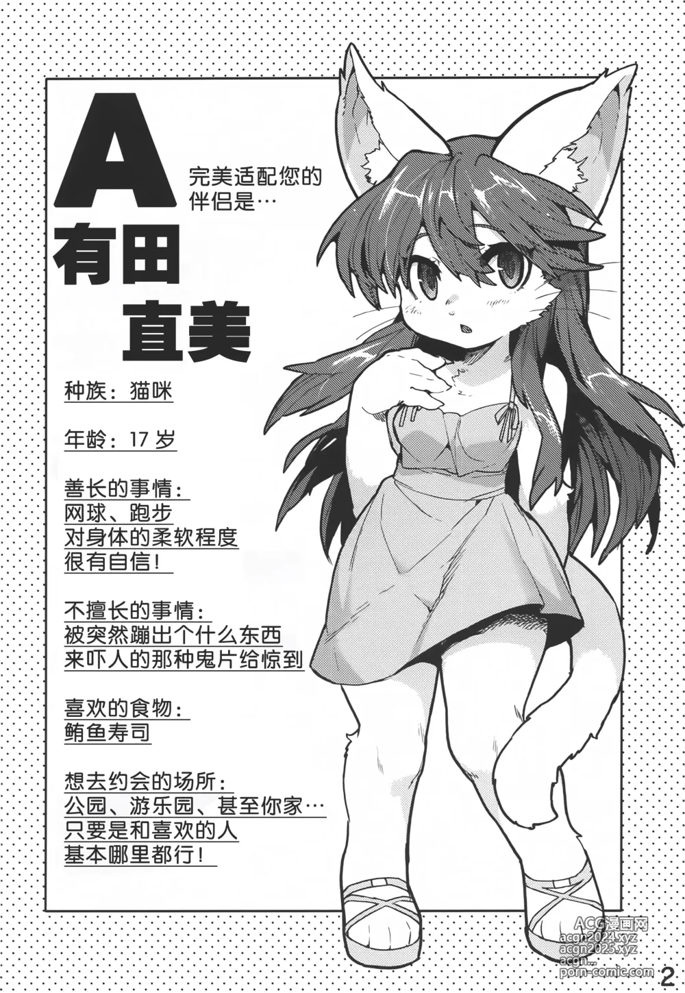 Page 3 of doujinshi 福瑞姑娘伴侶診斷測試