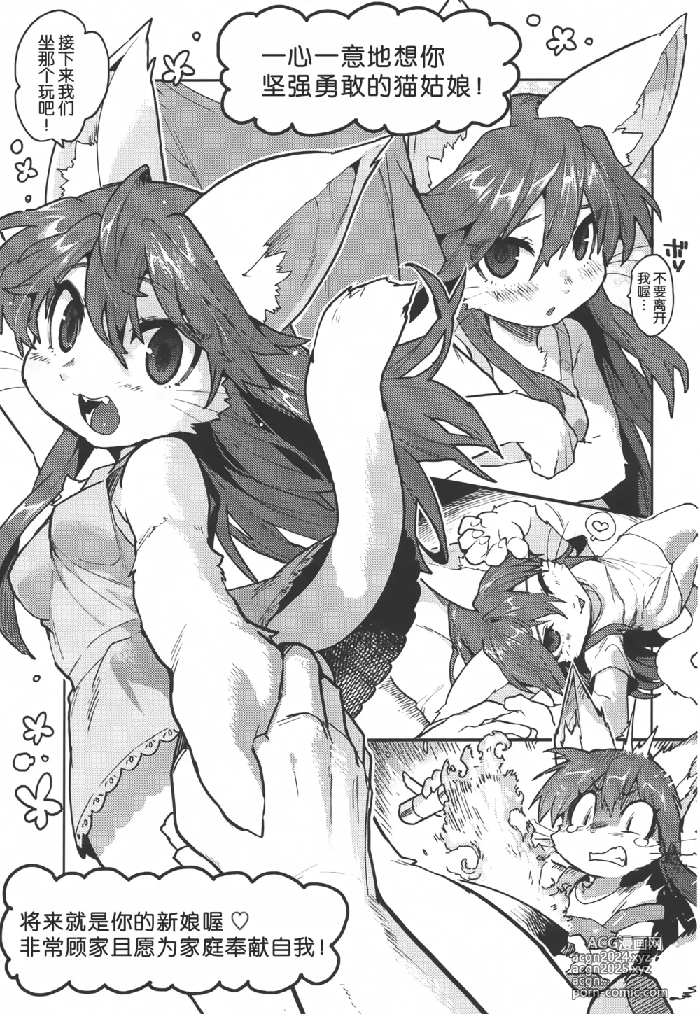 Page 4 of doujinshi 福瑞姑娘伴侶診斷測試