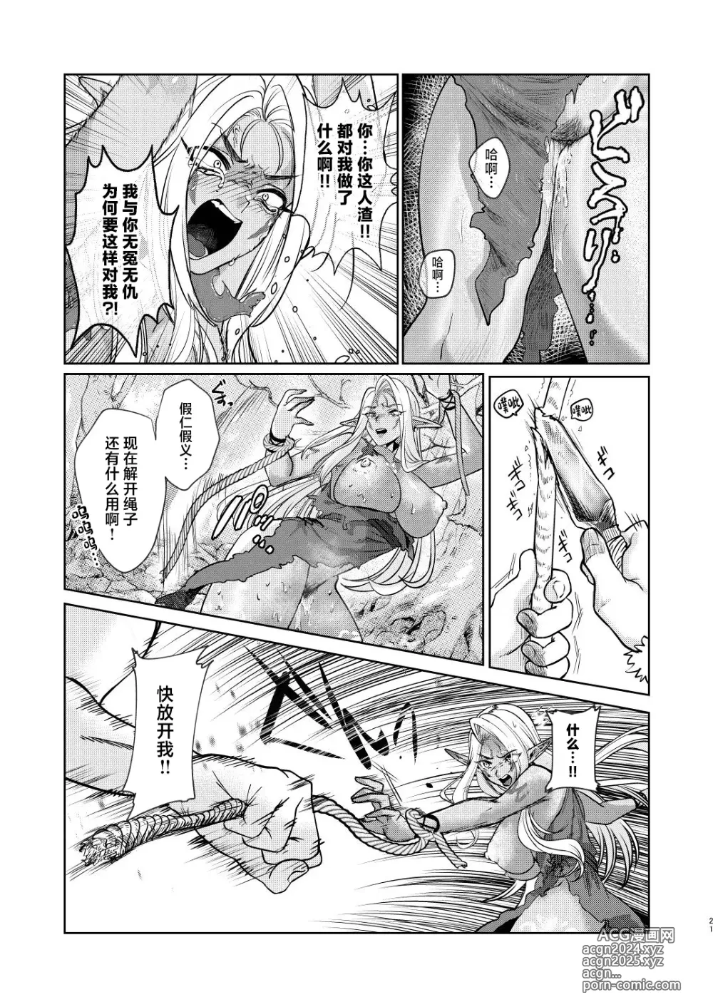 Page 21 of doujinshi Dark Elf wa Aragaenai