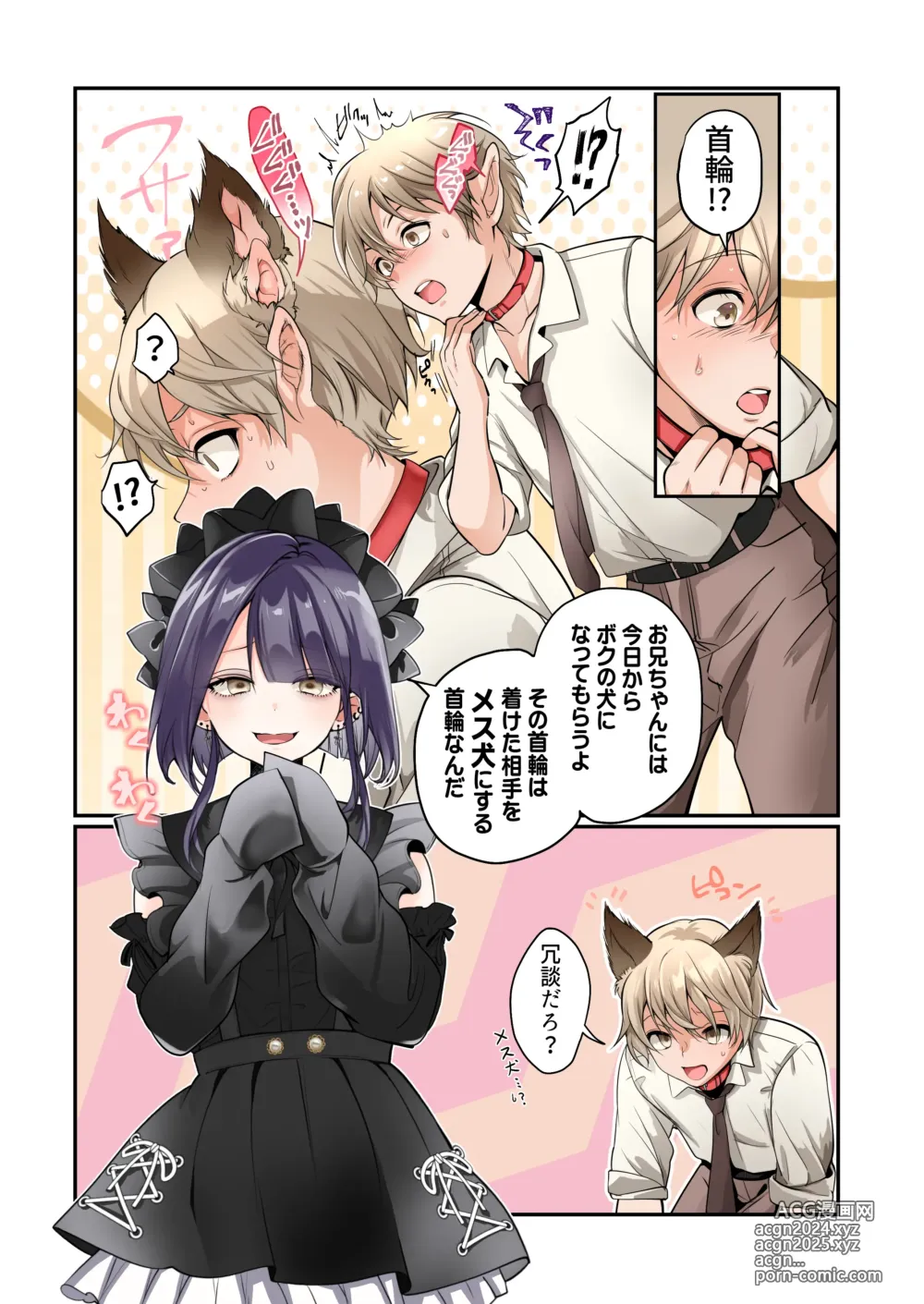 Page 4 of doujinshi Mesu Inuka no Kubiwa