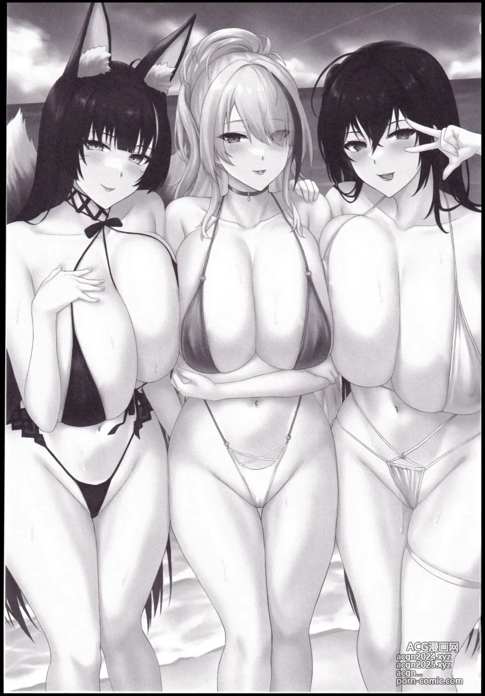 Page 3 of doujinshi Do-sukebe Juuou Harem Beach