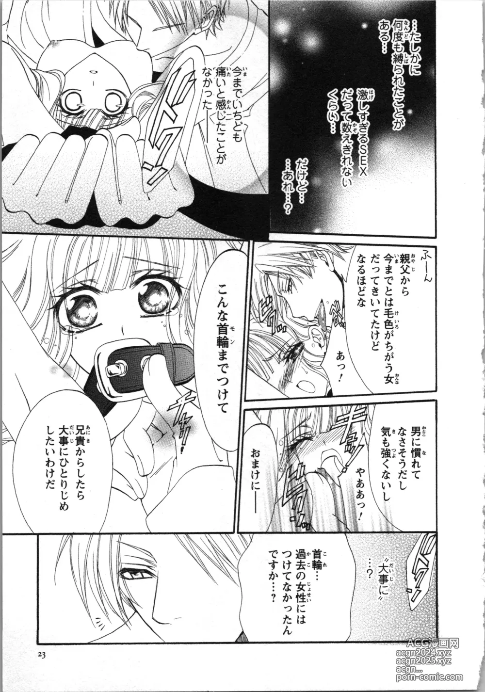 Page 25 of manga Tsunagareta Kubiwa - Kainushi kara no Chijoku