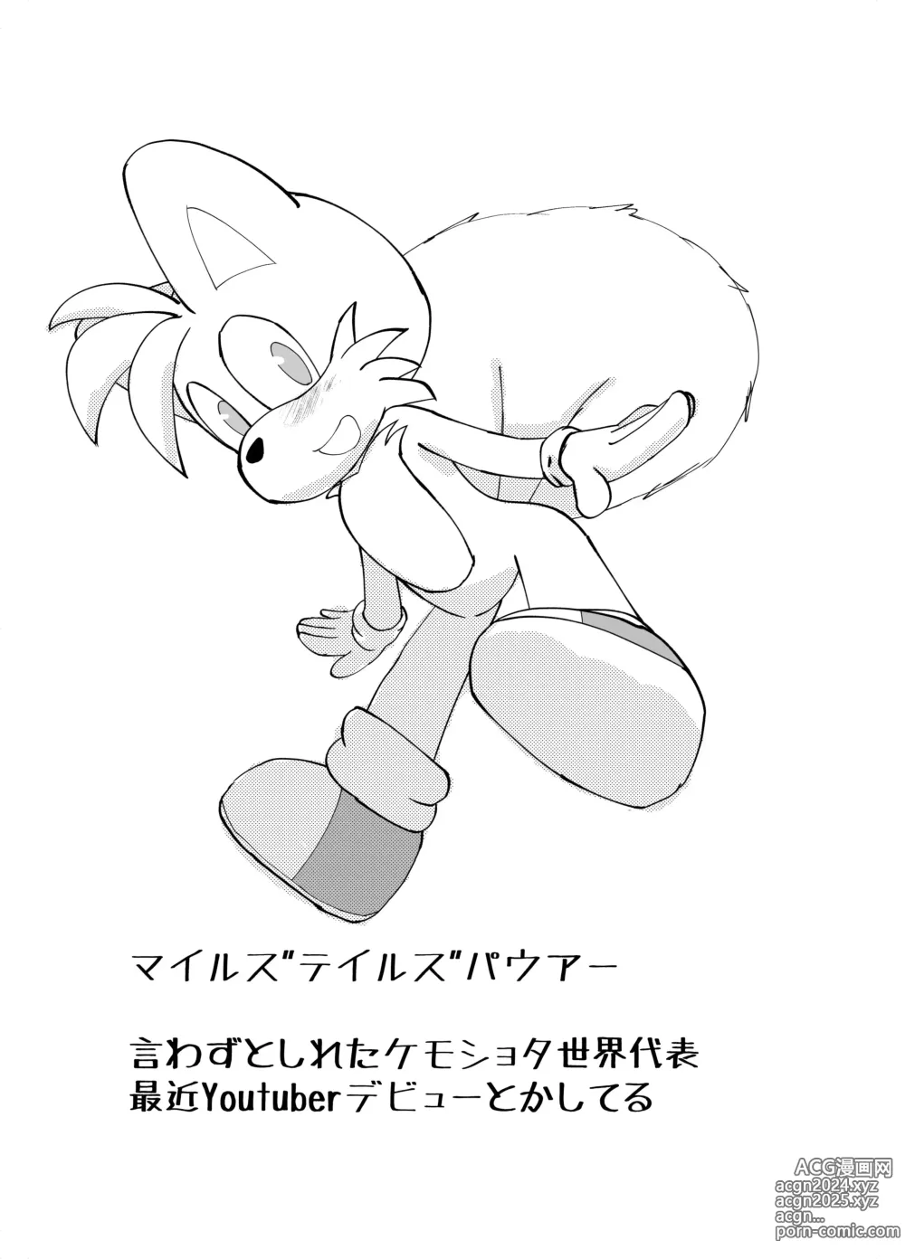 Page 2 of doujinshi Sonic no Otokonoko no Hon