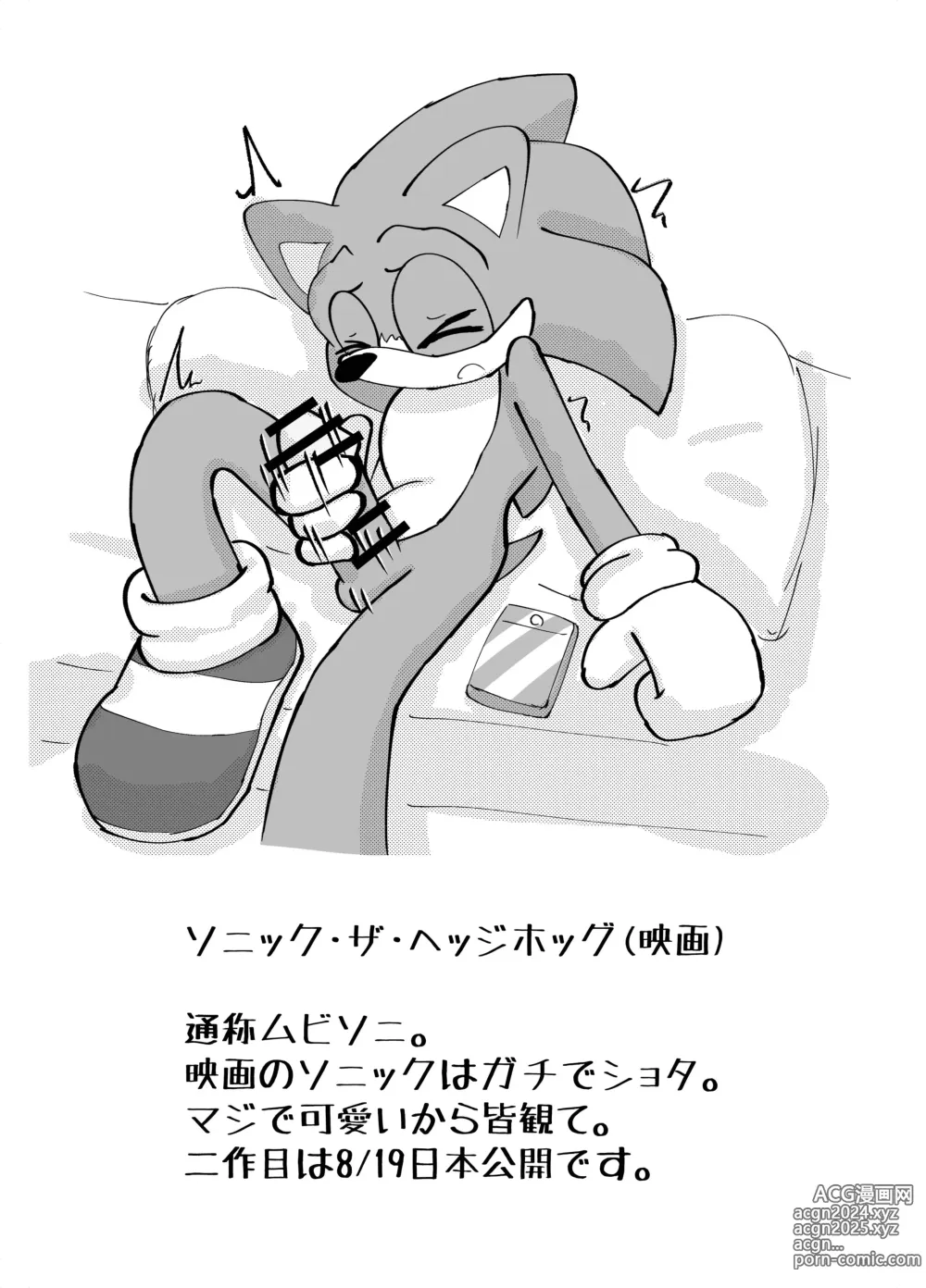 Page 4 of doujinshi Sonic no Otokonoko no Hon