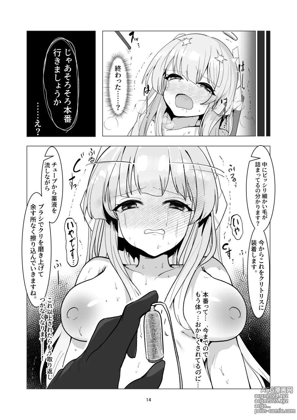 Page 14 of doujinshi [6A Seeds