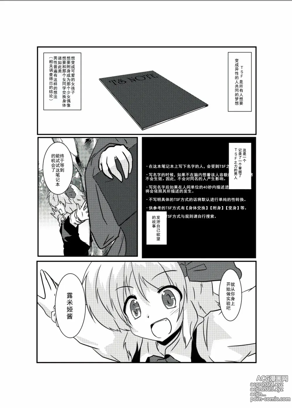 Page 4 of doujinshi 東方TS物語 ~露米娅編~