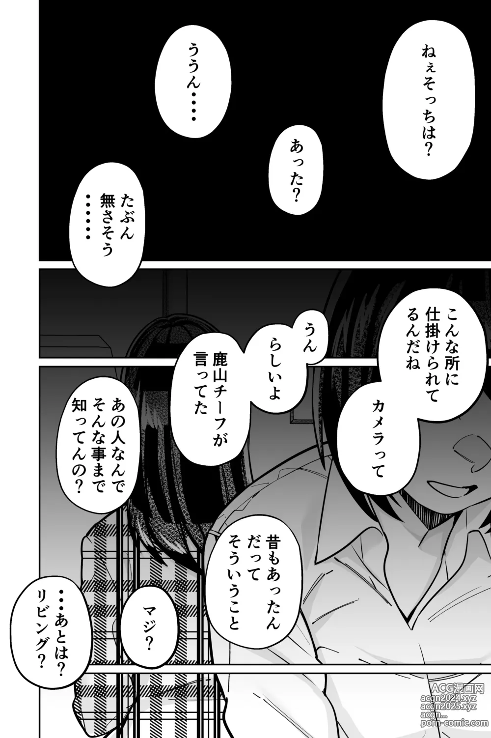 Page 4 of doujinshi Minpaku 2 ~Minpaku Keieisha no Ikue ni mo Harimegurasareta Wana~