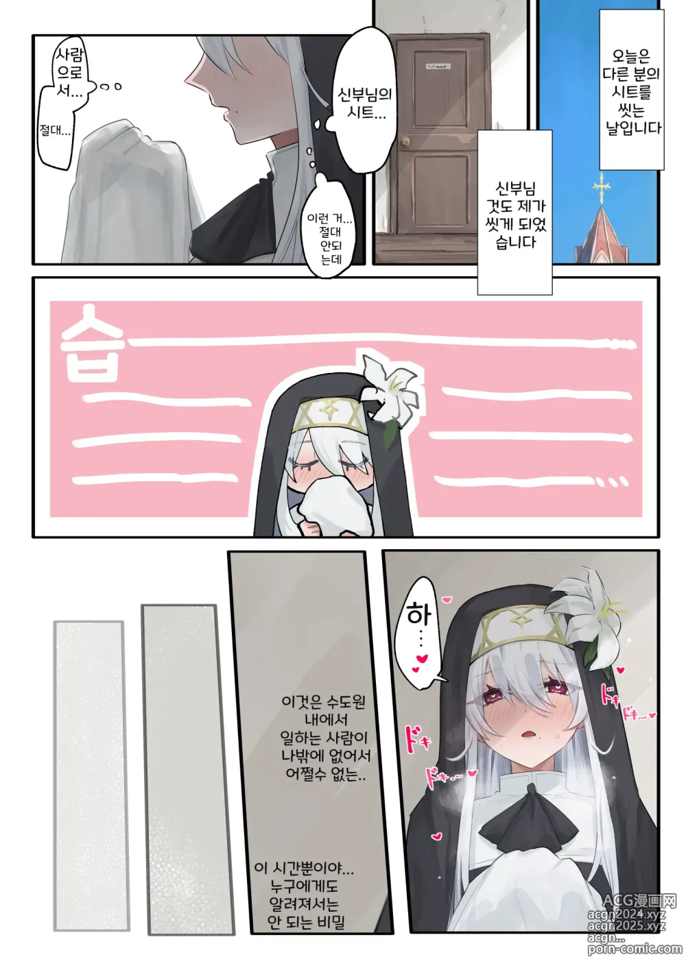 Page 10 of doujinshi Daisuki na Shinpu-sama to no ??? na Mousou o Shichau Sister 1~20