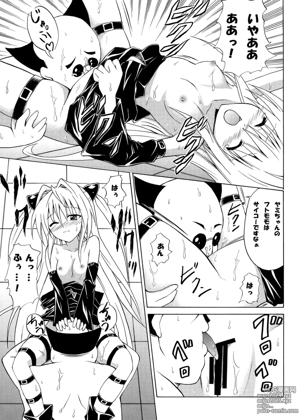 Page 26 of doujinshi Tora ★ Tora ～To Love-Ru Soushuuhen～