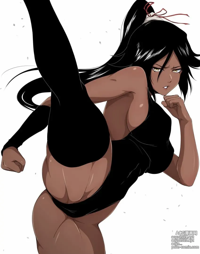 Page 193 of imageset Accurate Yoruichi shihoin [Collection] Bleach