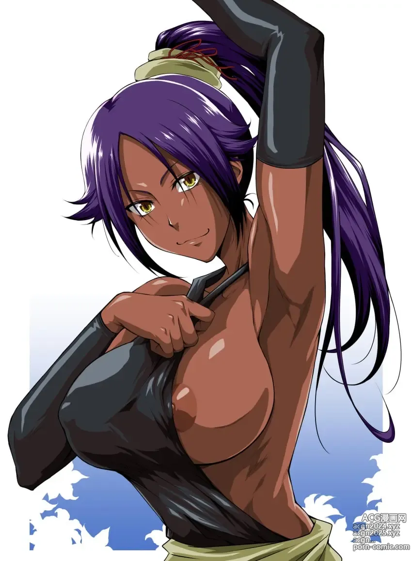 Page 262 of imageset Accurate Yoruichi shihoin [Collection] Bleach