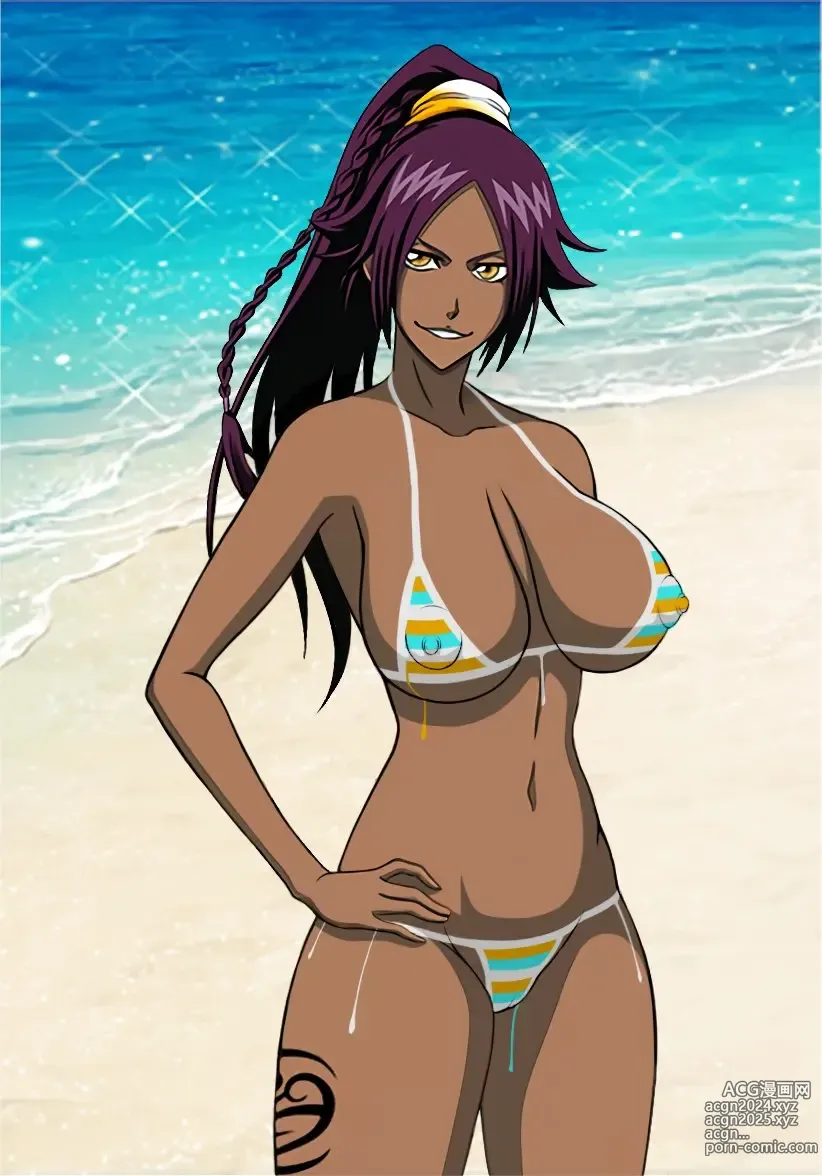 Page 286 of imageset Accurate Yoruichi shihoin [Collection] Bleach