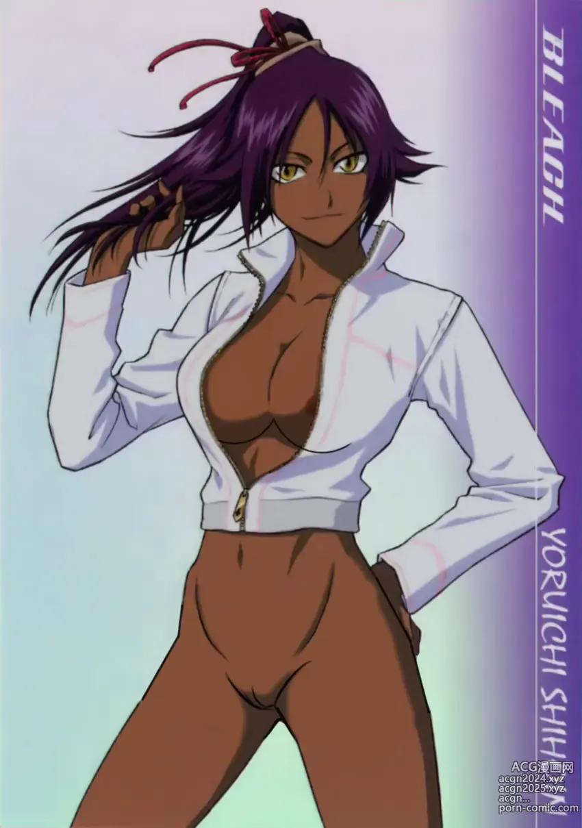 Page 458 of imageset Accurate Yoruichi shihoin [Collection] Bleach