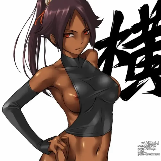 Page 706 of imageset Accurate Yoruichi shihoin [Collection] Bleach