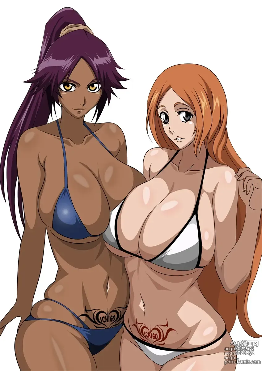 Page 90 of imageset Accurate Yoruichi shihoin [Collection] Bleach