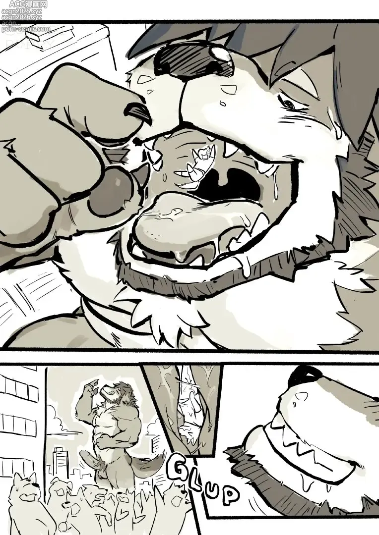 Page 245 of imageset Starlimisky/Comfei puppy