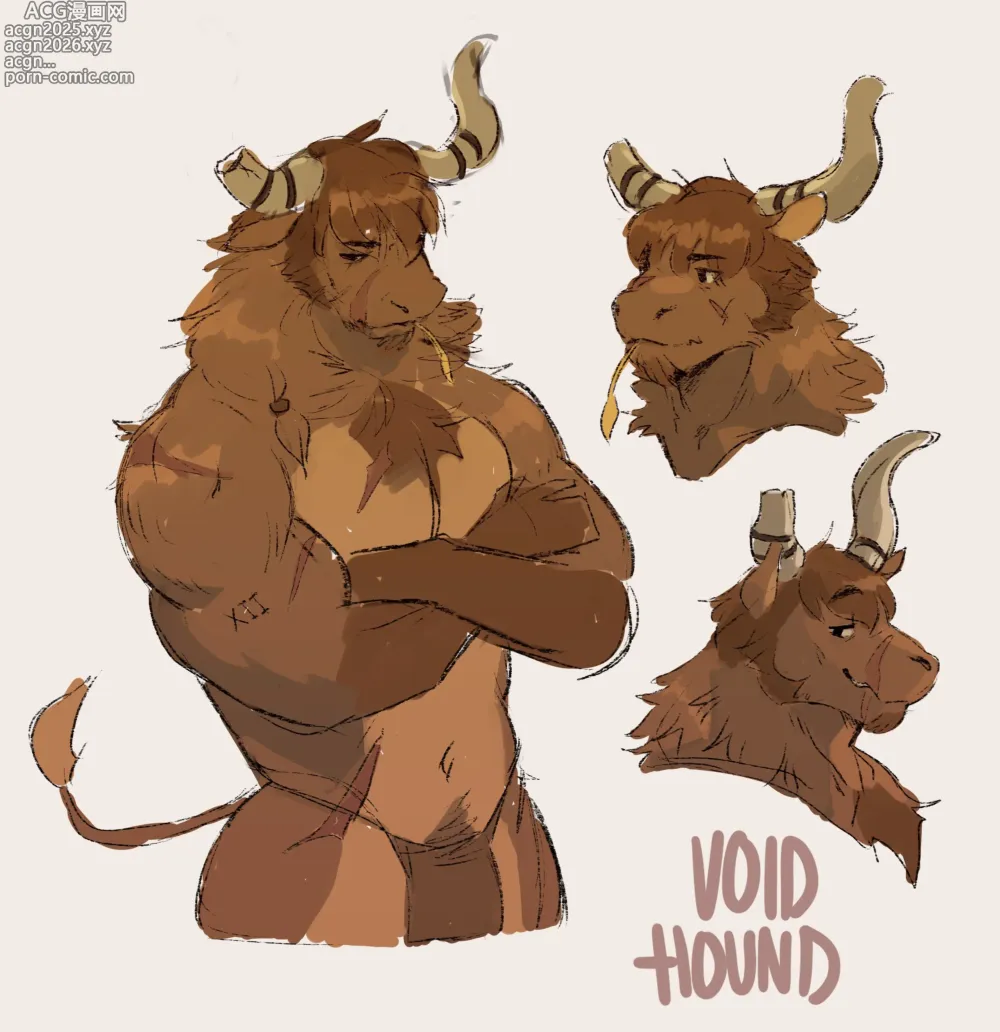 Page 187 of imageset VoidHound