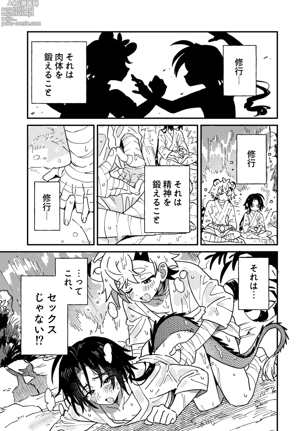 Page 3 of doujinshi Byakko-kun to Seiryuu 2 ~Kinyoku Syugyou Hen~