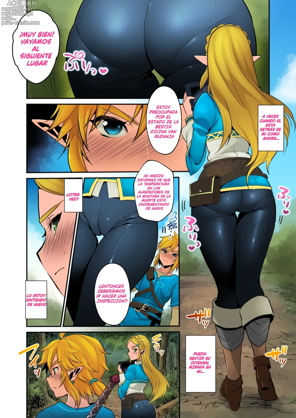 Page 3 of doujinshi ¡Tomando Pasos para Asegurar a Hyrule's con Prosperidad Colorized! (decensored)