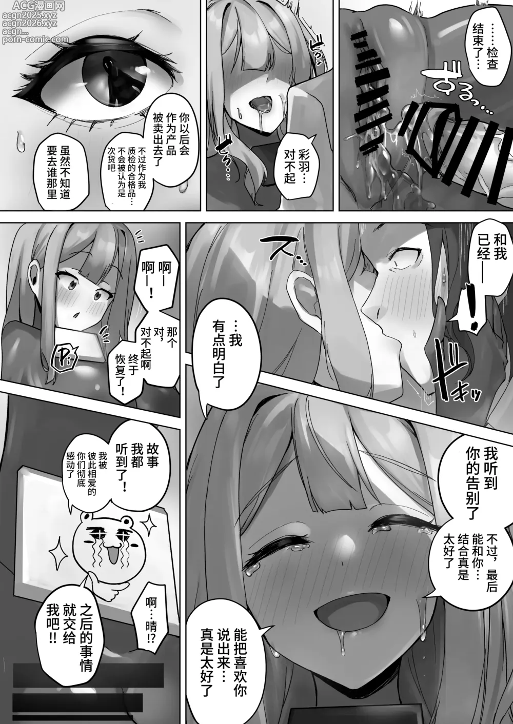 Page 27 of doujinshi R.S.I.社技术验证实验报告