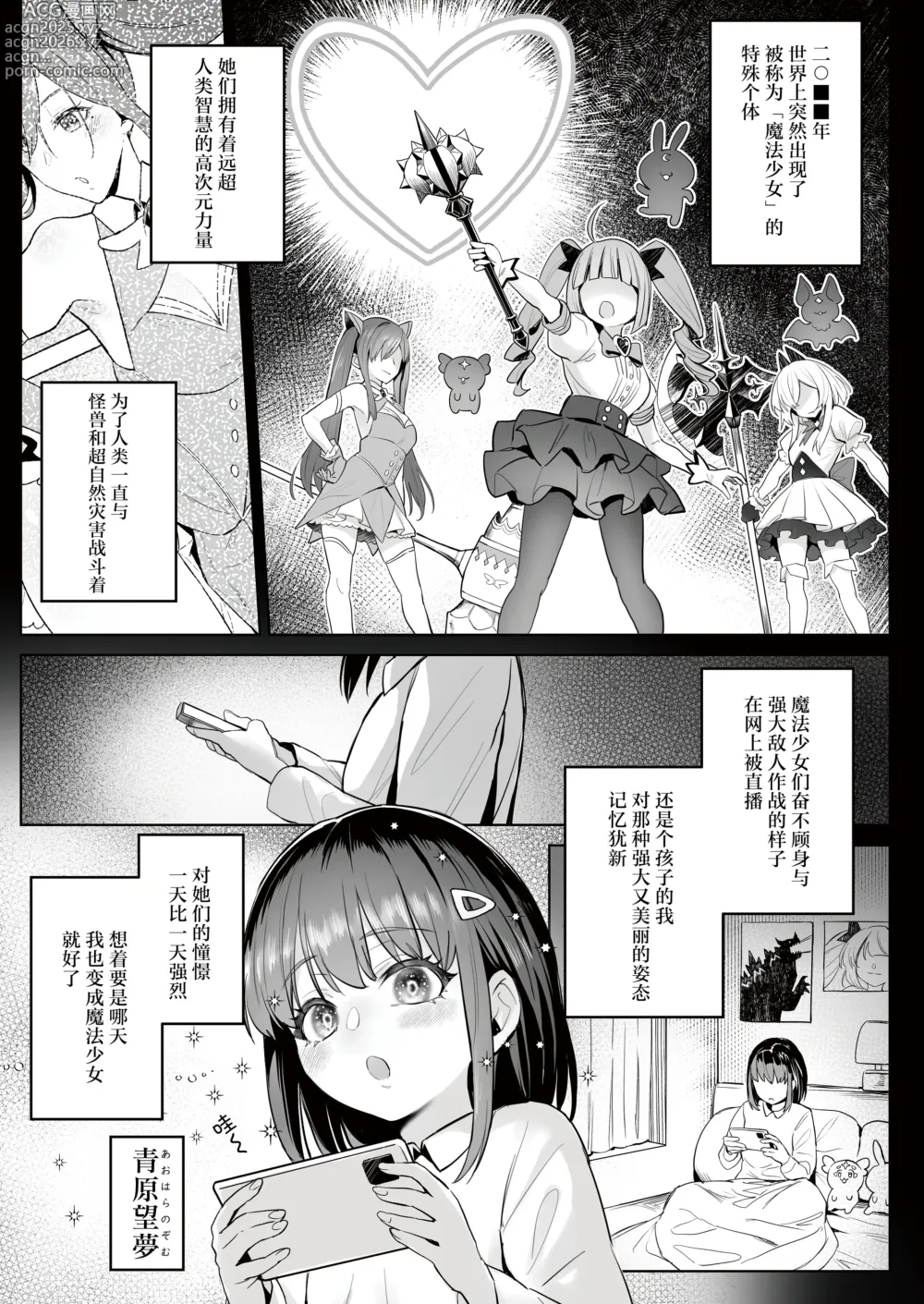 Page 4 of doujinshi 前魔法少女的工作故事 青