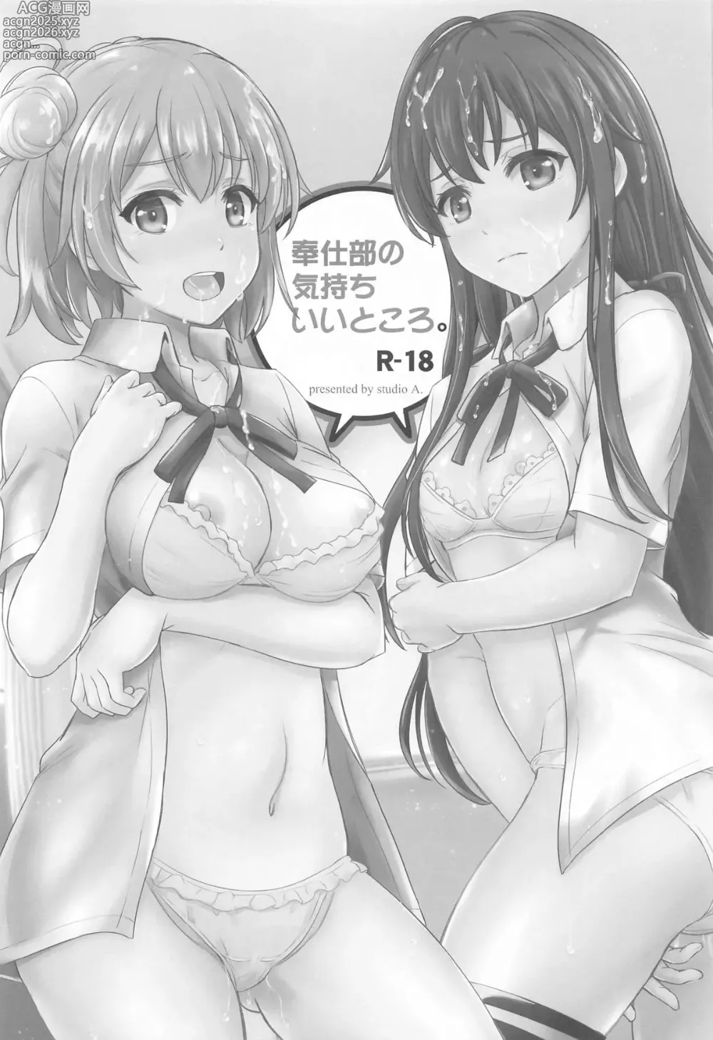 Page 3 of doujinshi Iyarashiku Midaresaku Houshi-bu.