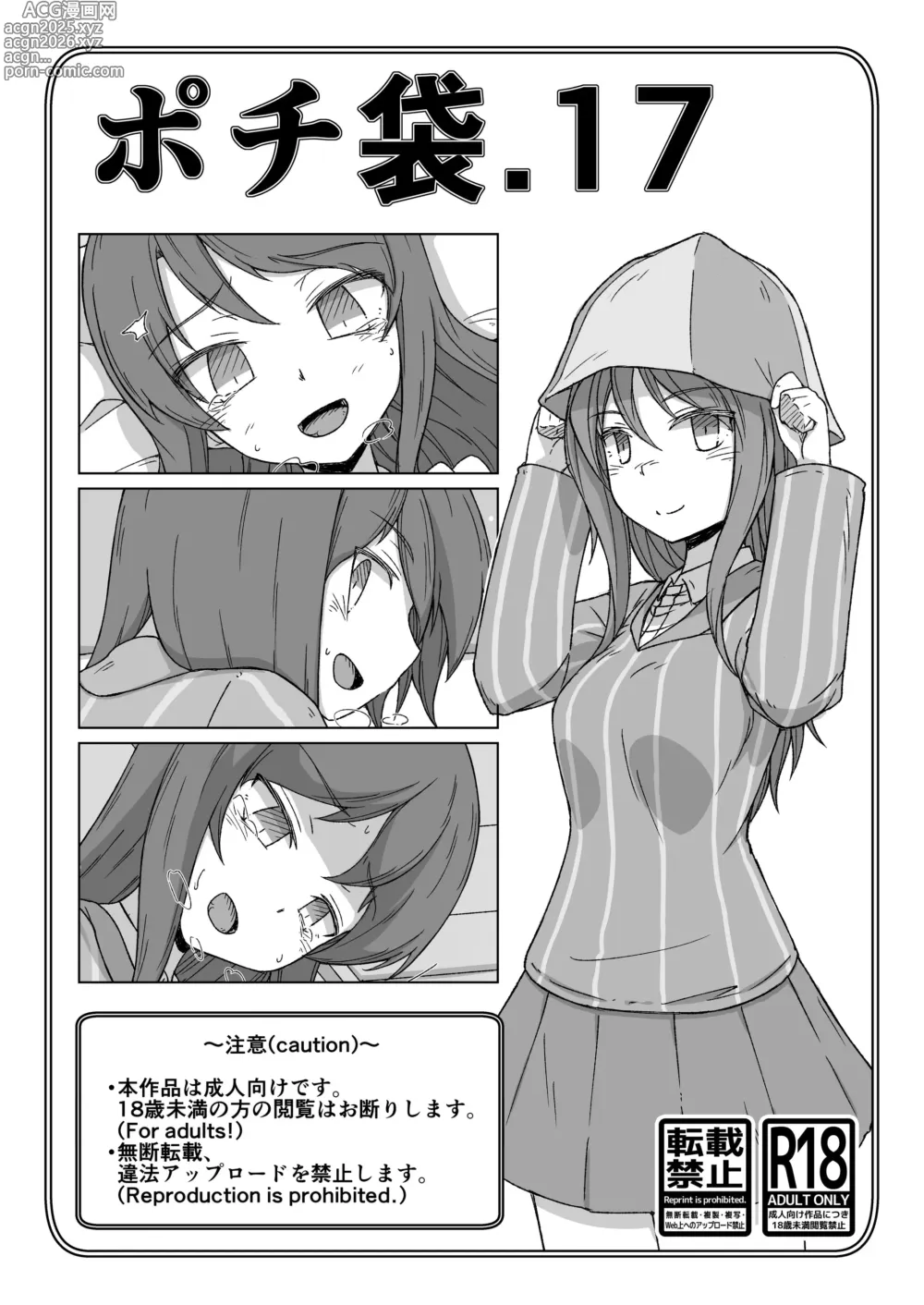 Page 1 of doujinshi Pochibukuro. 17