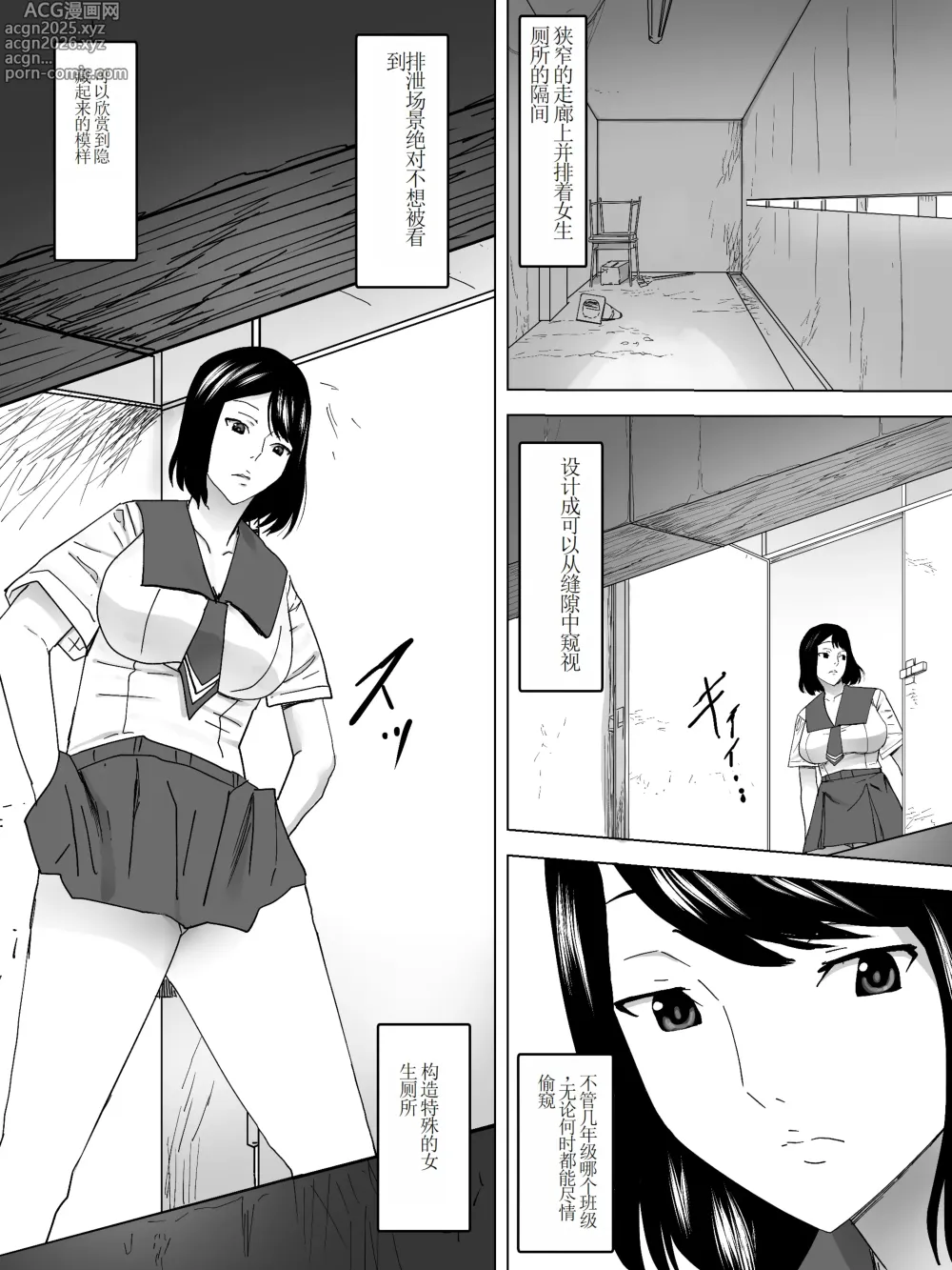 Page 3 of doujinshi Nozoki Kounin Joshi Benjo