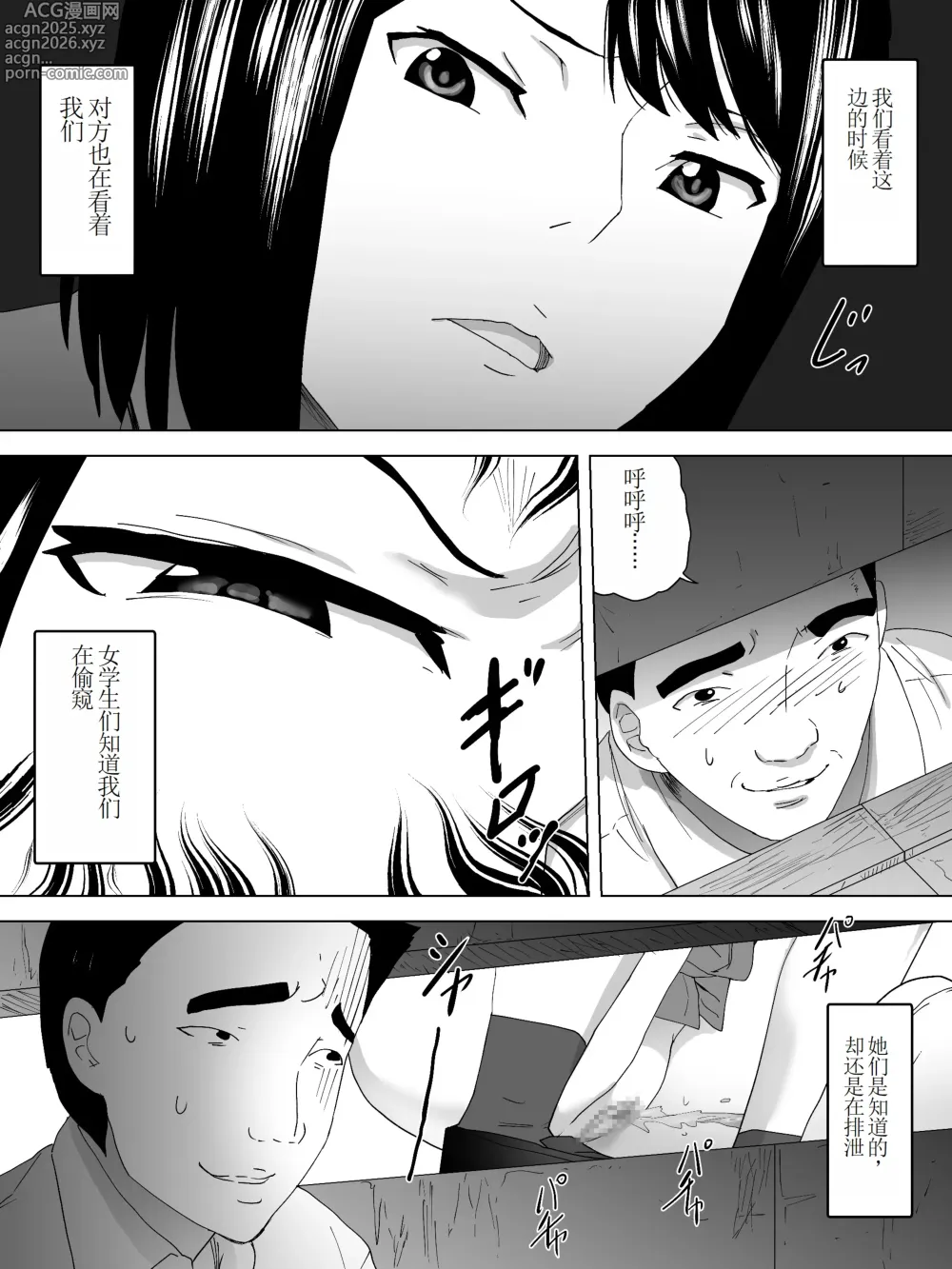 Page 5 of doujinshi Nozoki Kounin Joshi Benjo