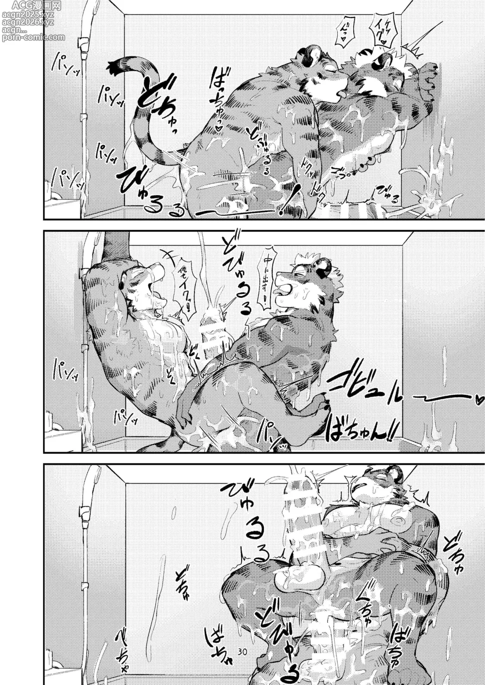 Page 30 of doujinshi 第一次要在虎穴里！