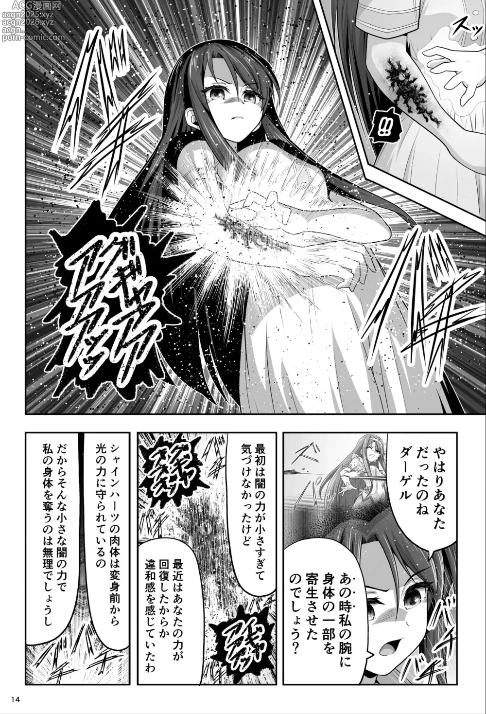 Page 14 of doujinshi Mahou Shoujo Shine Hearts