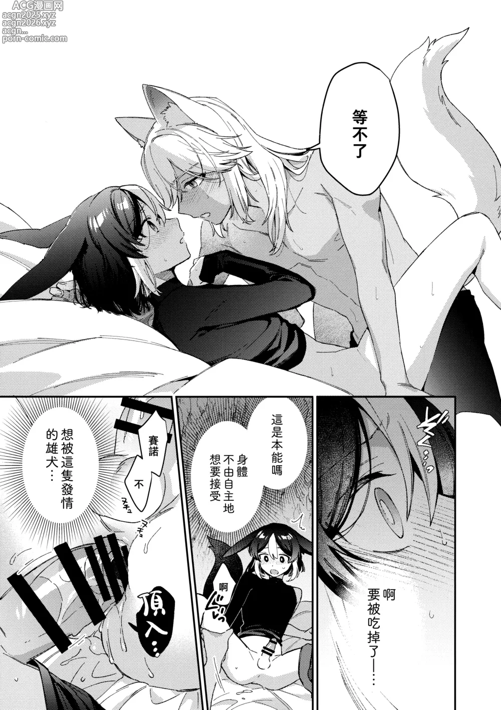 Page 37 of doujinshi ookami ni natta tomodachi no yosuga okashii!!｜變成狼的摯友的狀態看起來有點奇怪呢!!