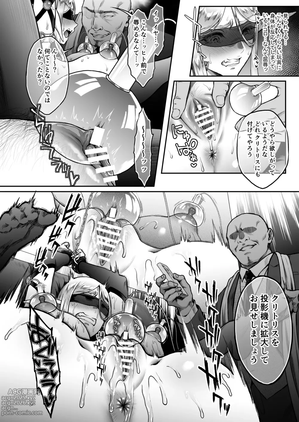 Page 209 of doujinshi 黄昏の娼エルフ 1-7