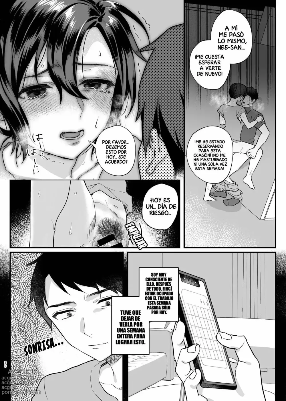 Page 29 of doujinshi La Viuda de mi Hermano