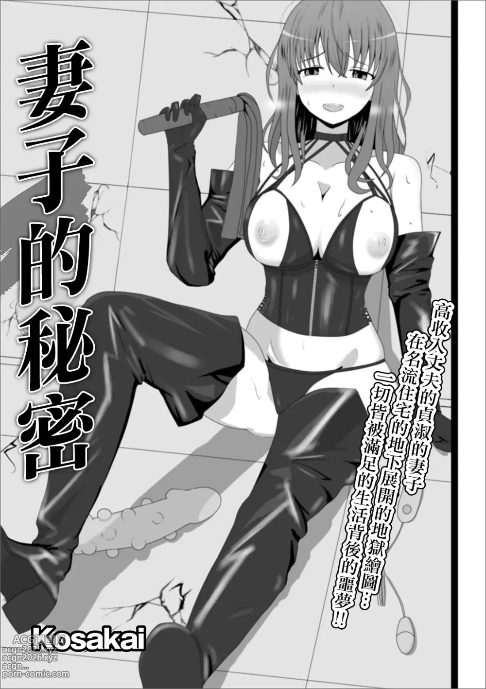 Page 1 of manga 妻子的秘密