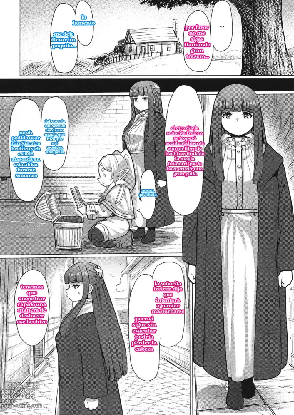 Page 8 of doujinshi Freiren y el hechizo futanari