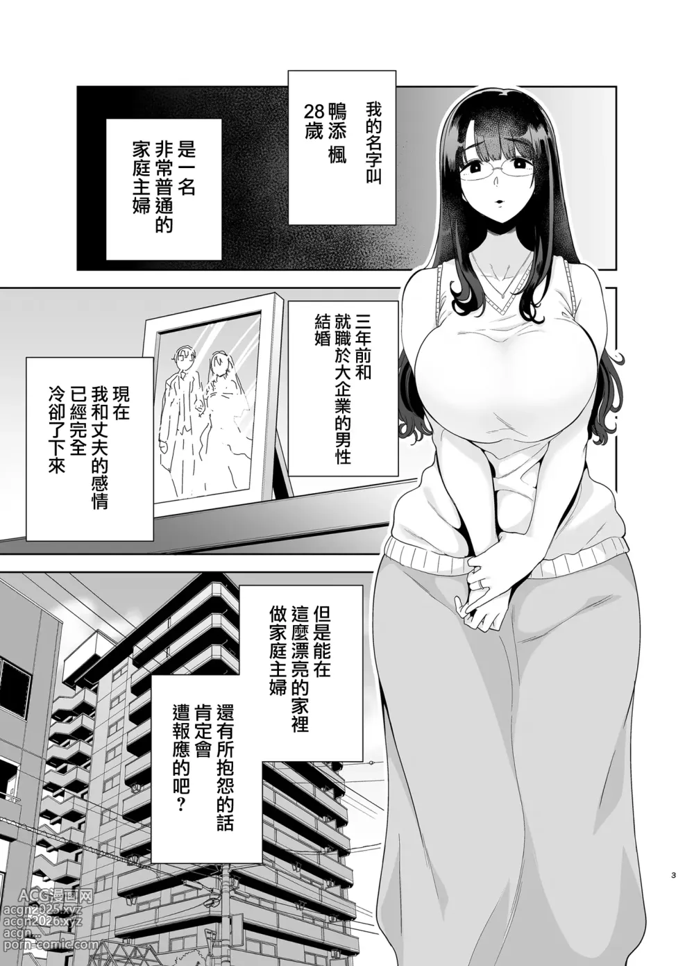 Page 4 of doujinshi ワイルド式日本人妻の寝取り方 総集編