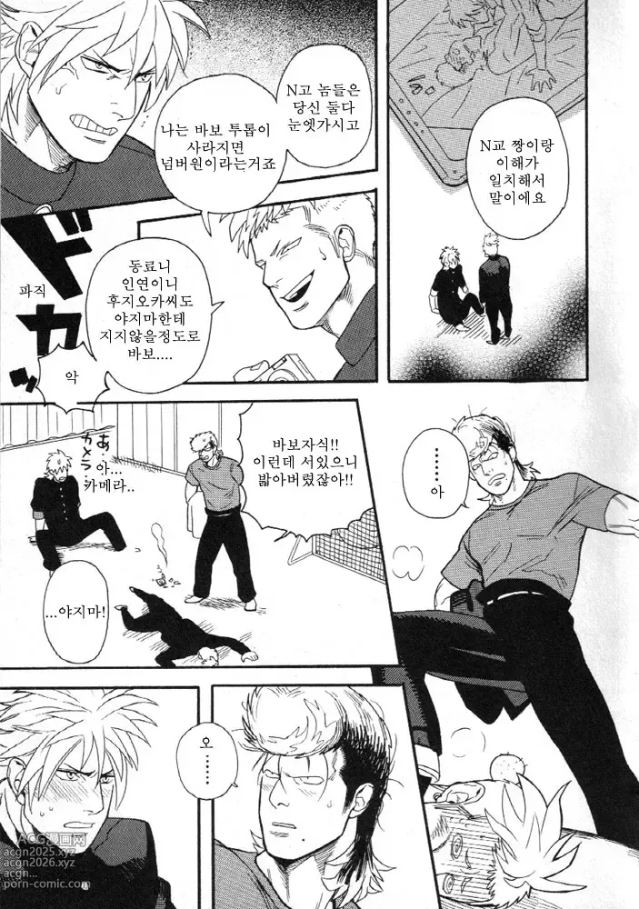 Page 23 of manga 청춘 바보 연대