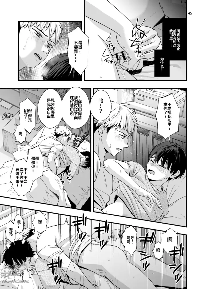 Page 45 of doujinshi Boku shika Shiranai Ani no Kao