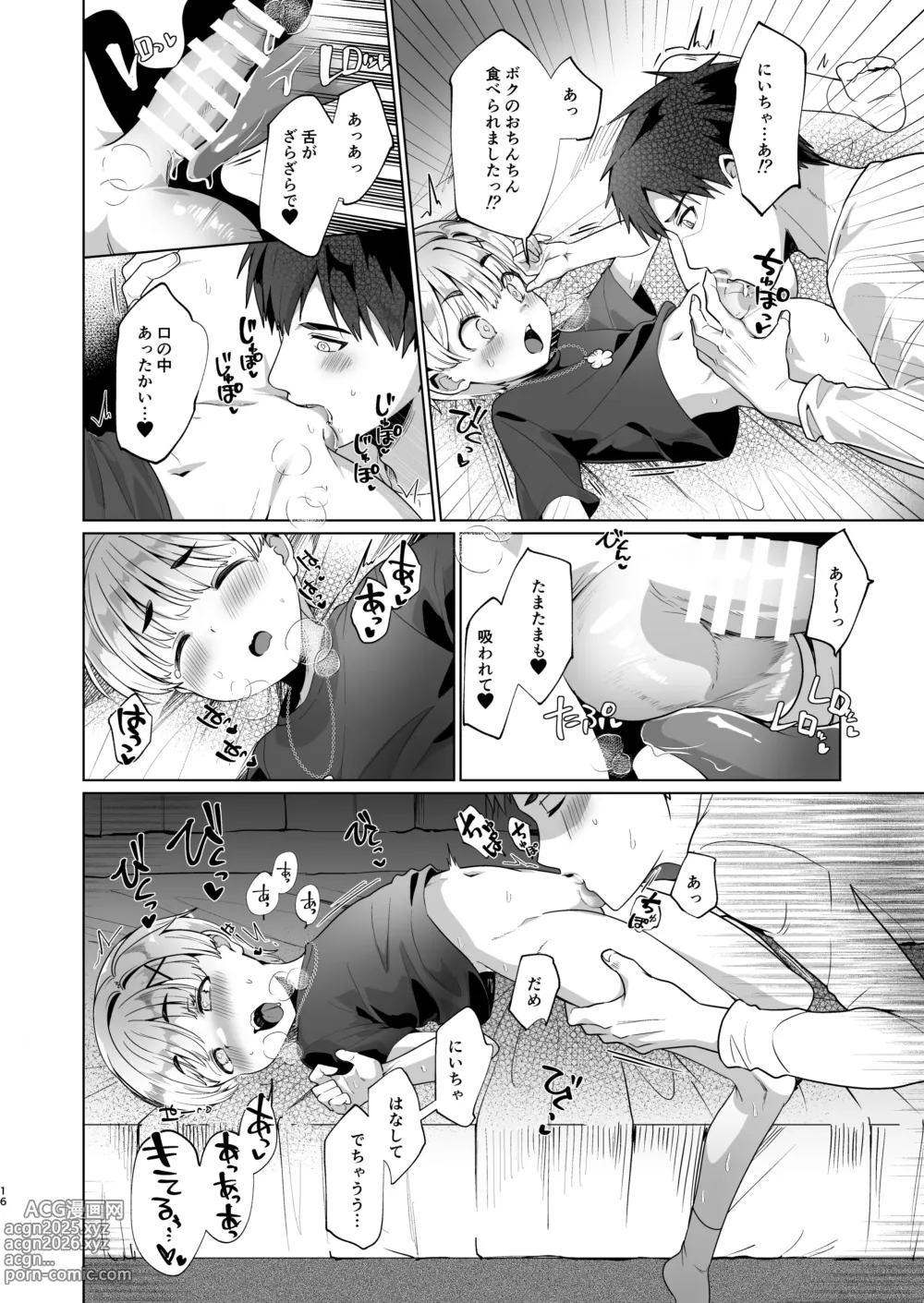 Page 15 of doujinshi Boku,  Onii-chan to Himitsu no Vlog Torimasu! - Now, shoot a secret video with My brother!