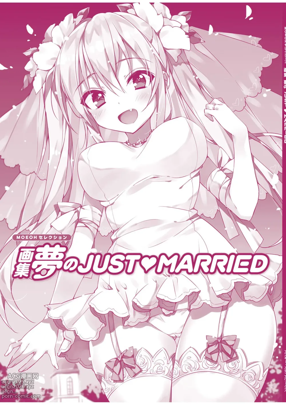 Page 93 of imageset Artbook: Dream of JUST▽MARRIED