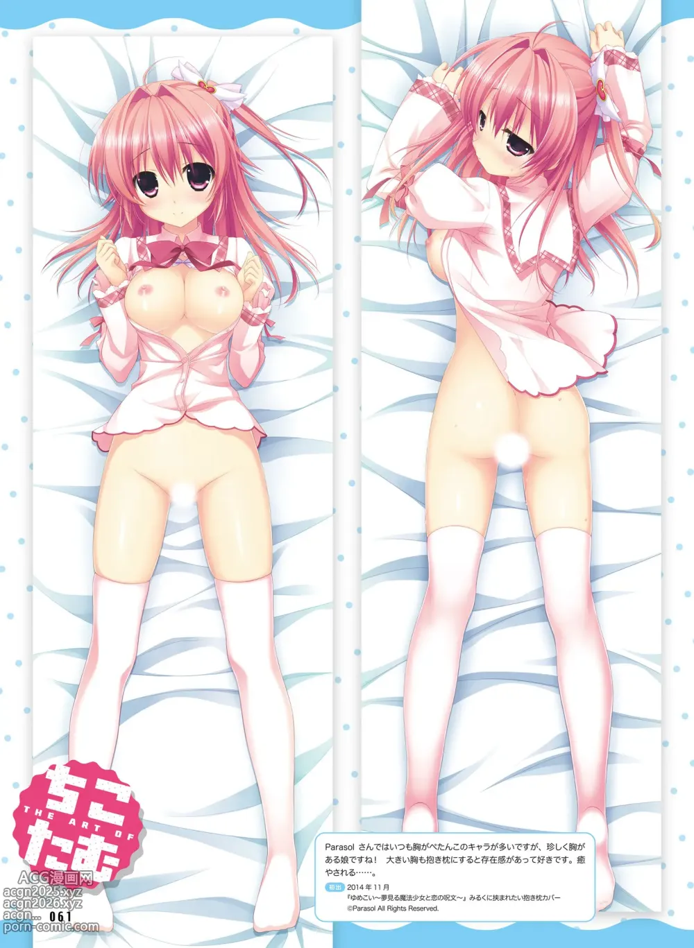 Page 61 of imageset Dengeki Moeoh March 2019 issue Special edition Dengeki Adult Dakimakura King Vol.01