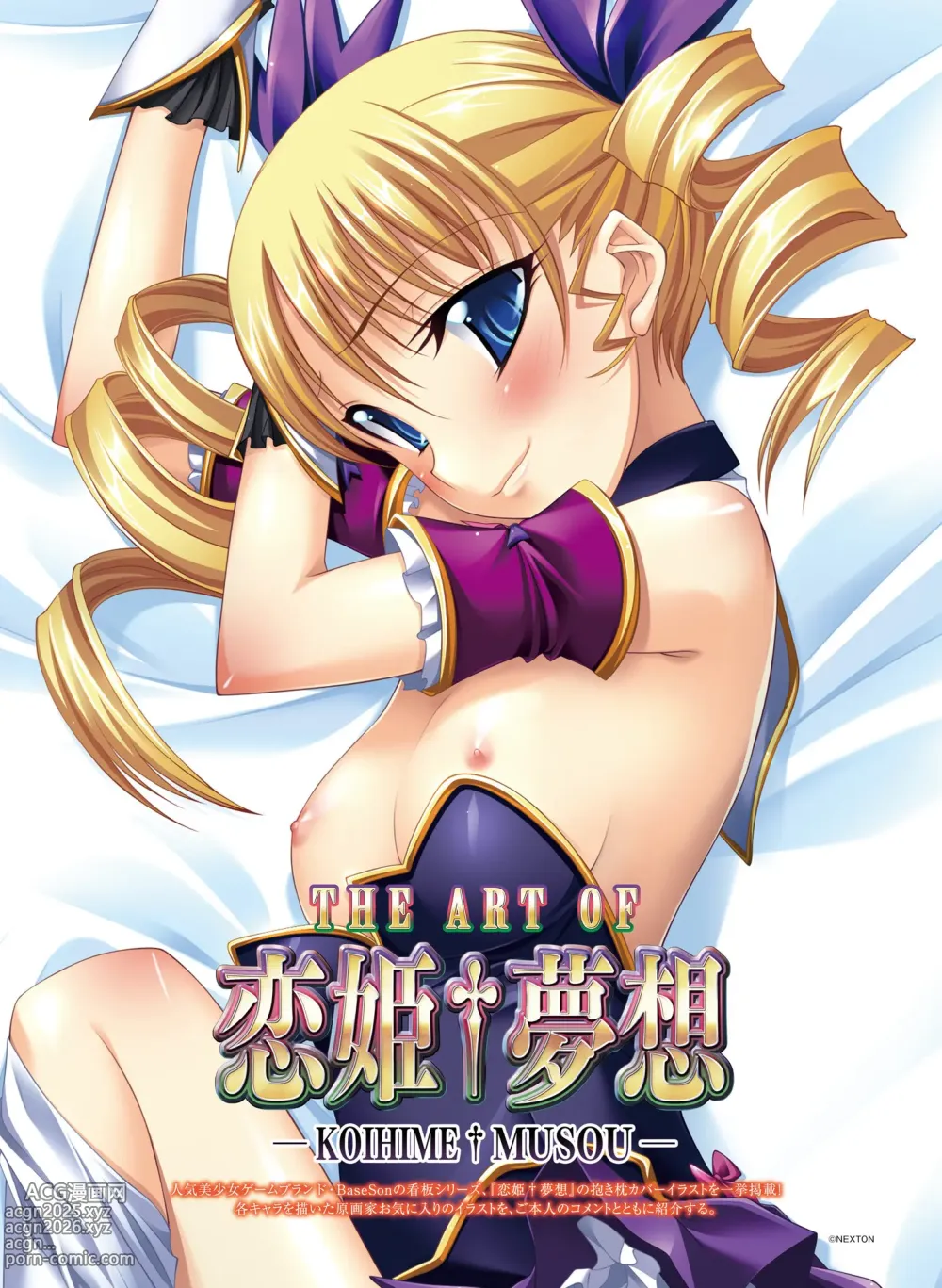 Page 91 of imageset Dengeki Moeoh March 2019 issue Special edition Dengeki Adult Dakimakura King Vol.01