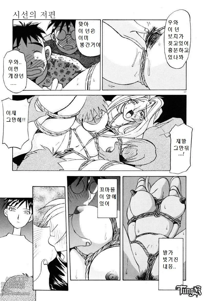 Page 13 of manga 시선의 저편에