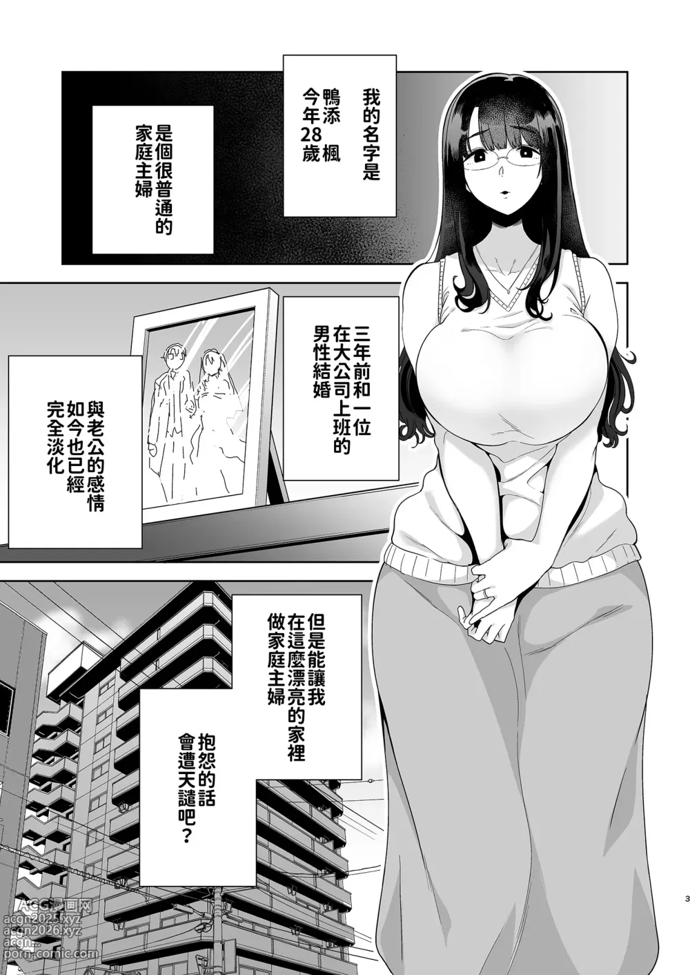 Page 5 of doujinshi ワイルド式日本人妻の寝取り方 総集編｜狂野式睡走日本人妻的方法 總集篇