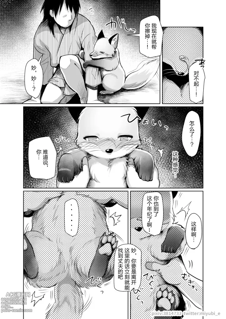 Page 25 of doujinshi Koganegitsune no Gojitsutan