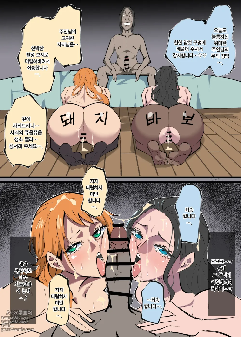 Page 27 of doujinshi 원피스 X 무적 극혐남 2